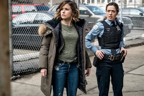 chicago p.d. imdb